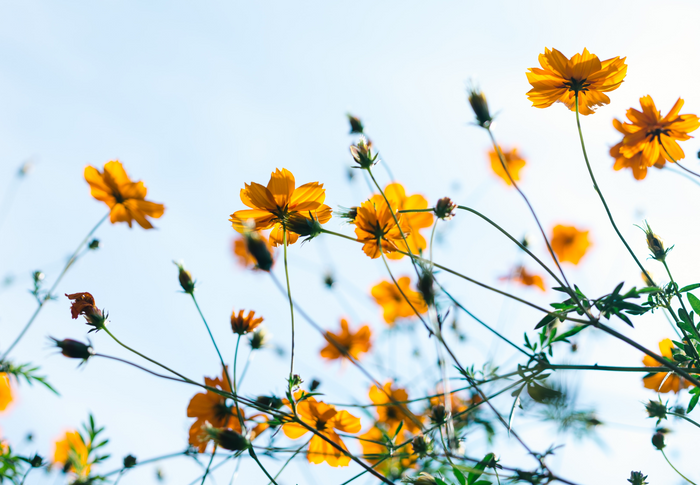 Featured image of article: 