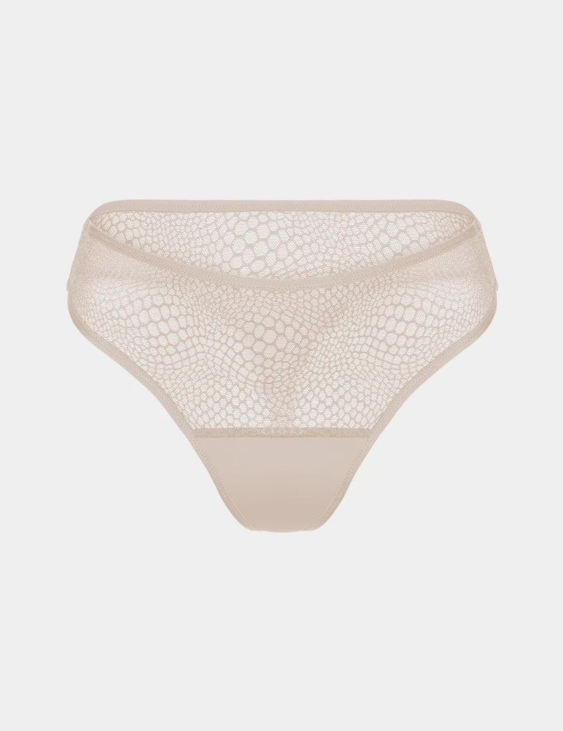 | Oyster
