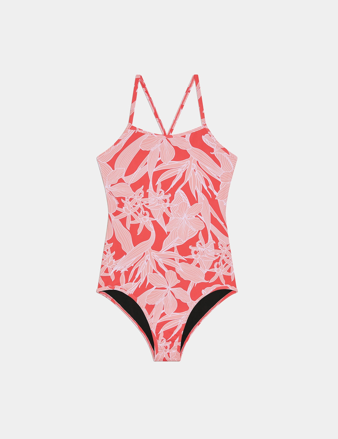 | Pink Hibiscus