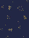 | Capricorn