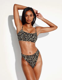 | Wild Cat
