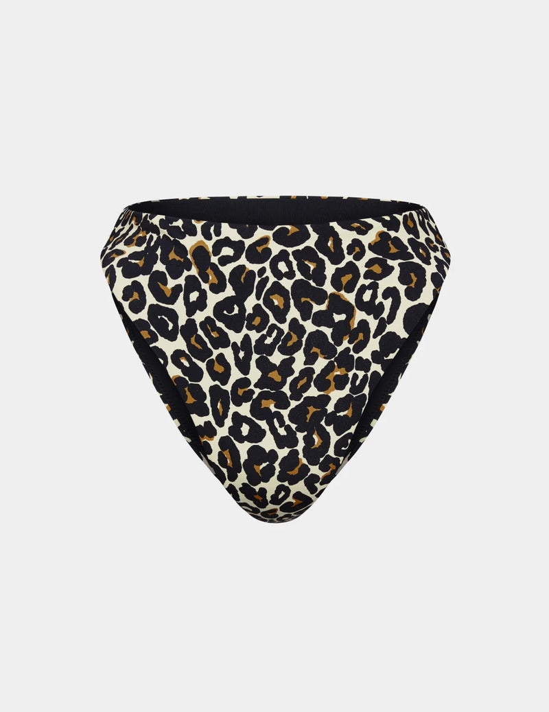 | Wild Cat