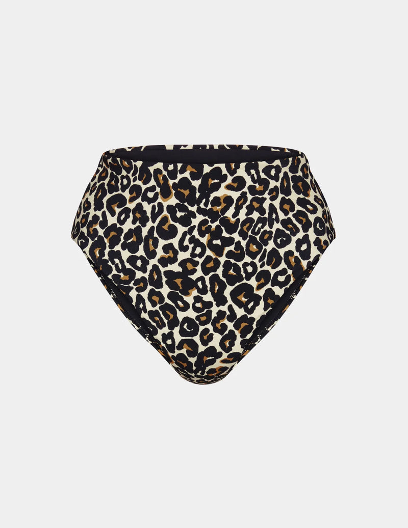 | Wild Cat