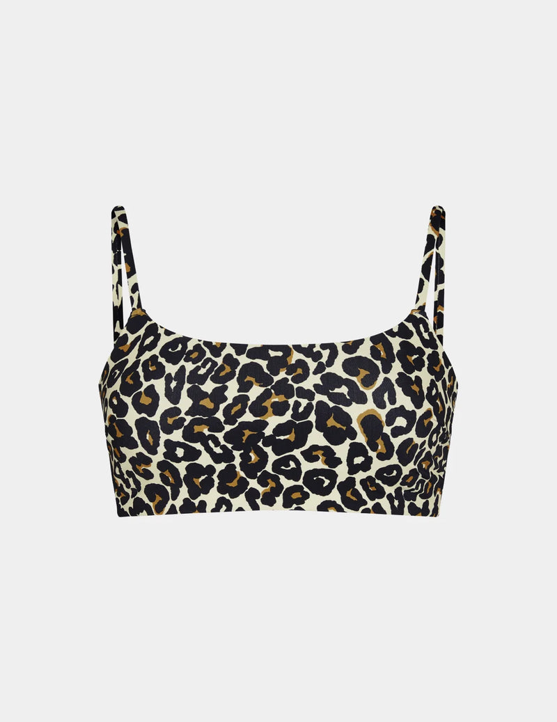 | Wild Cat