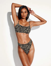 | Wild Cat
